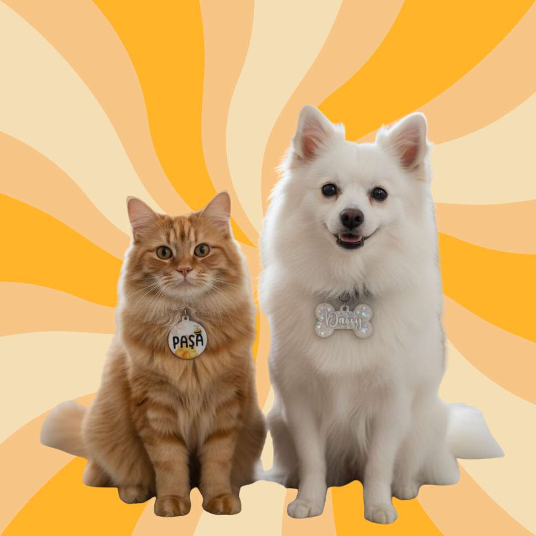 Künyeler Kategorisi