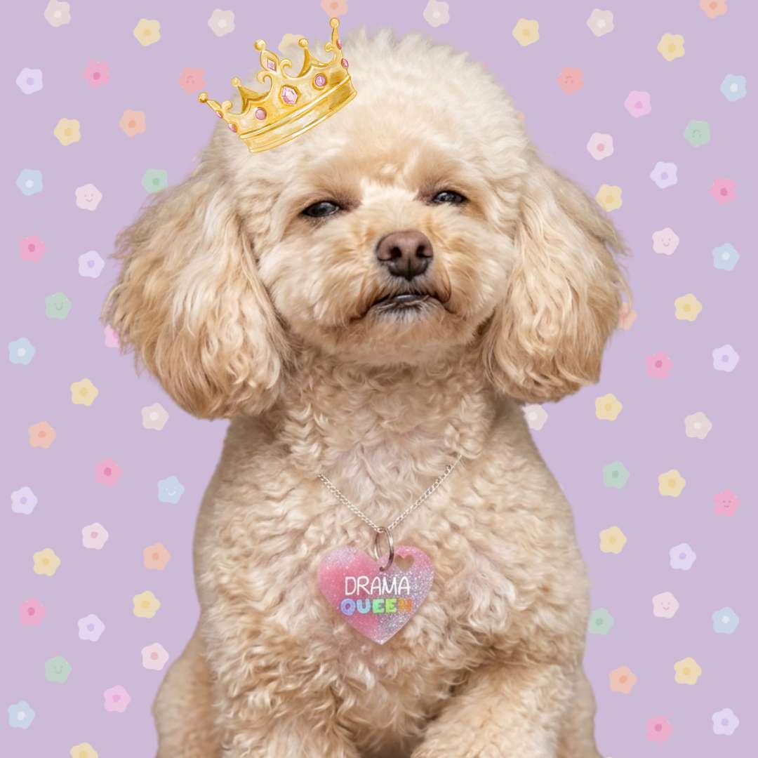 Mood Künyeler Kategorisi